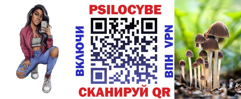 Псилоцибиновые грибы Psilocybine cubensis цена Туран